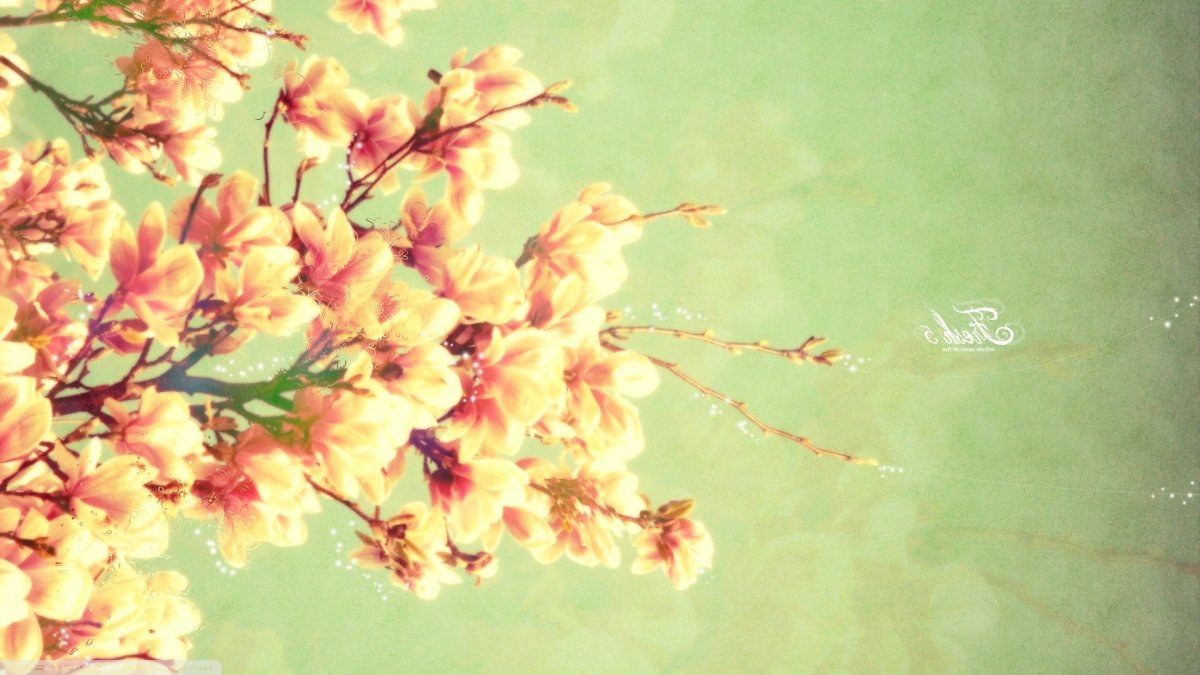 Весенние цветы Минимализм