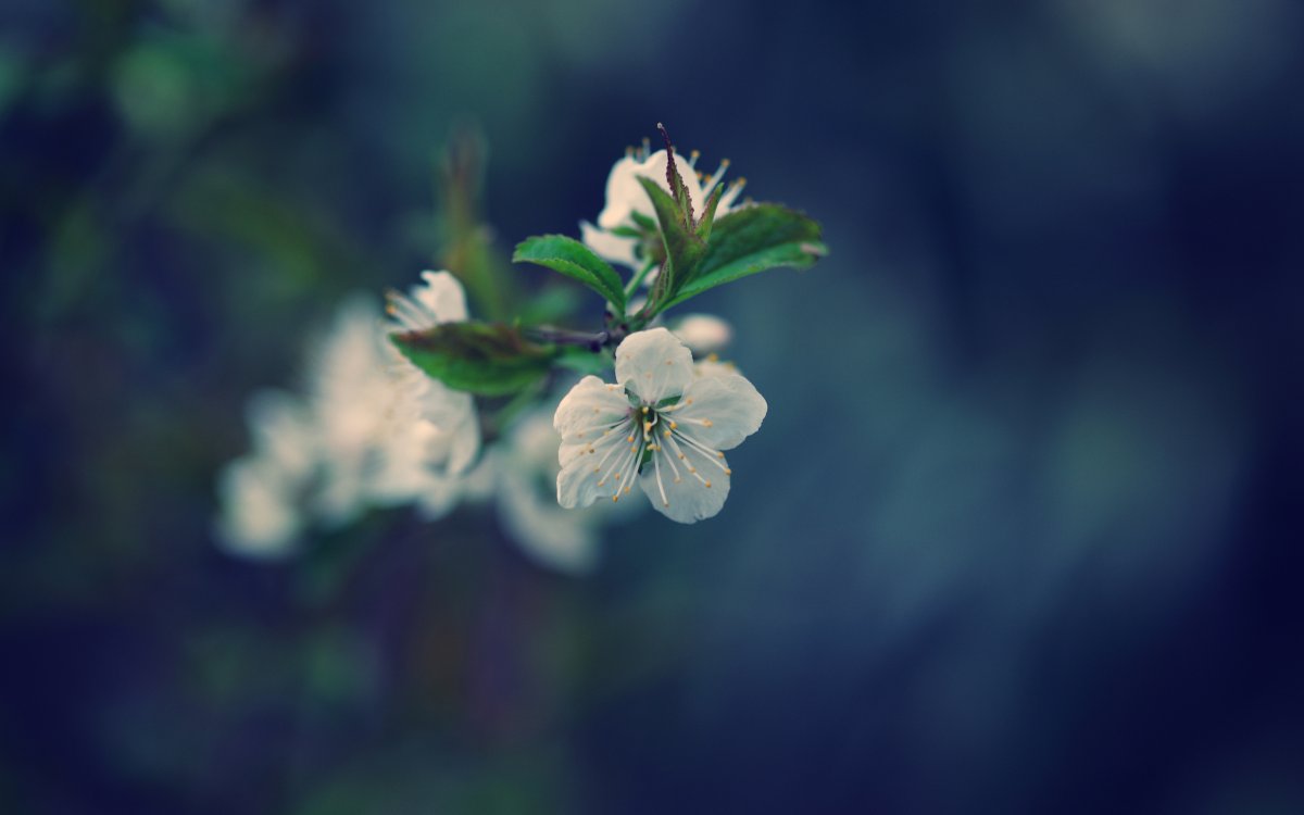 Минимализм арт