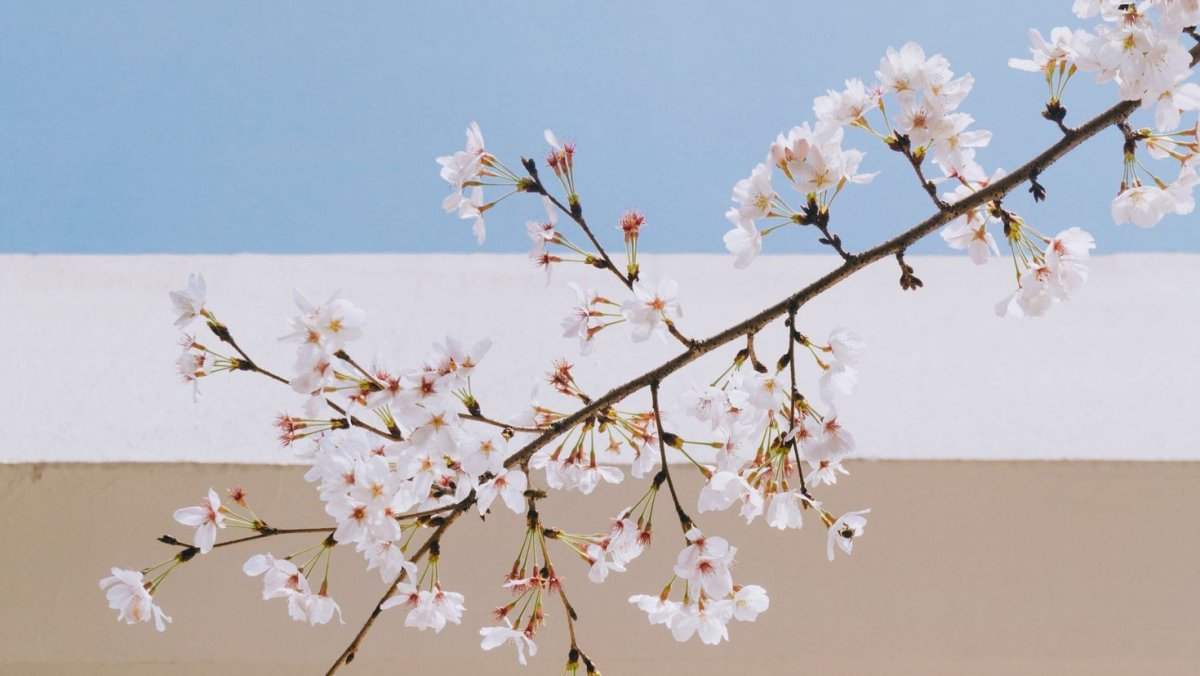 Картинки на рабочий стол Минимализм