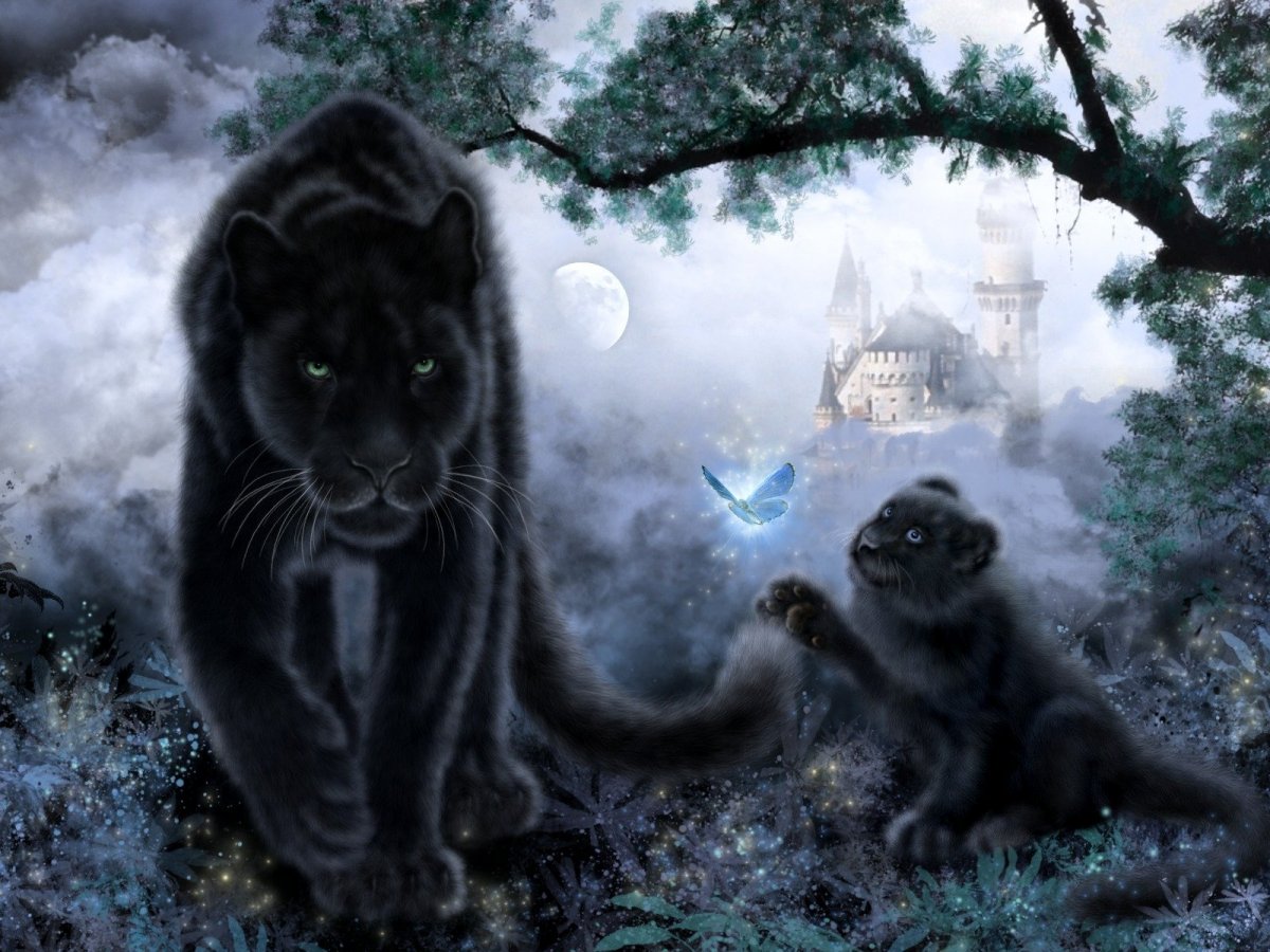 Загадочное фэнтези