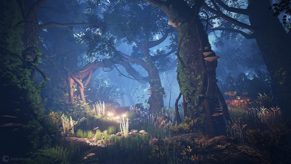 Волшебный лес