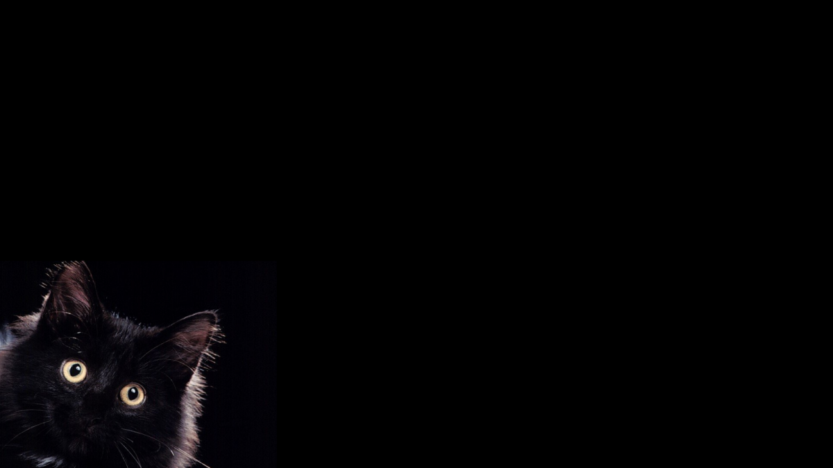 Обои на рабочий стол ченчые