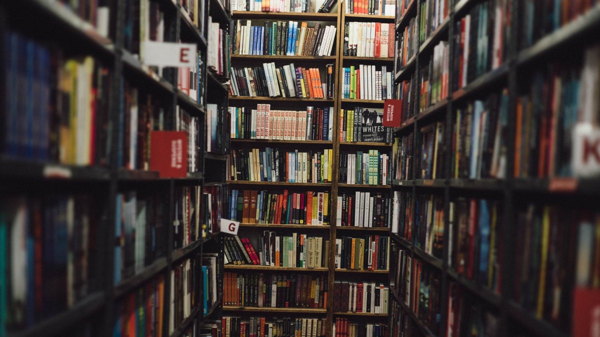 Обои с рисунком книги на полках