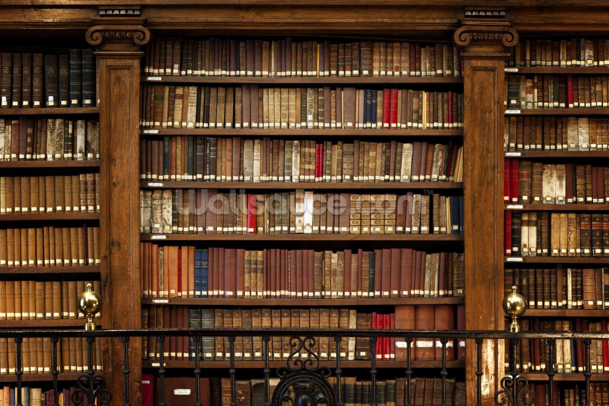 Полка для книг