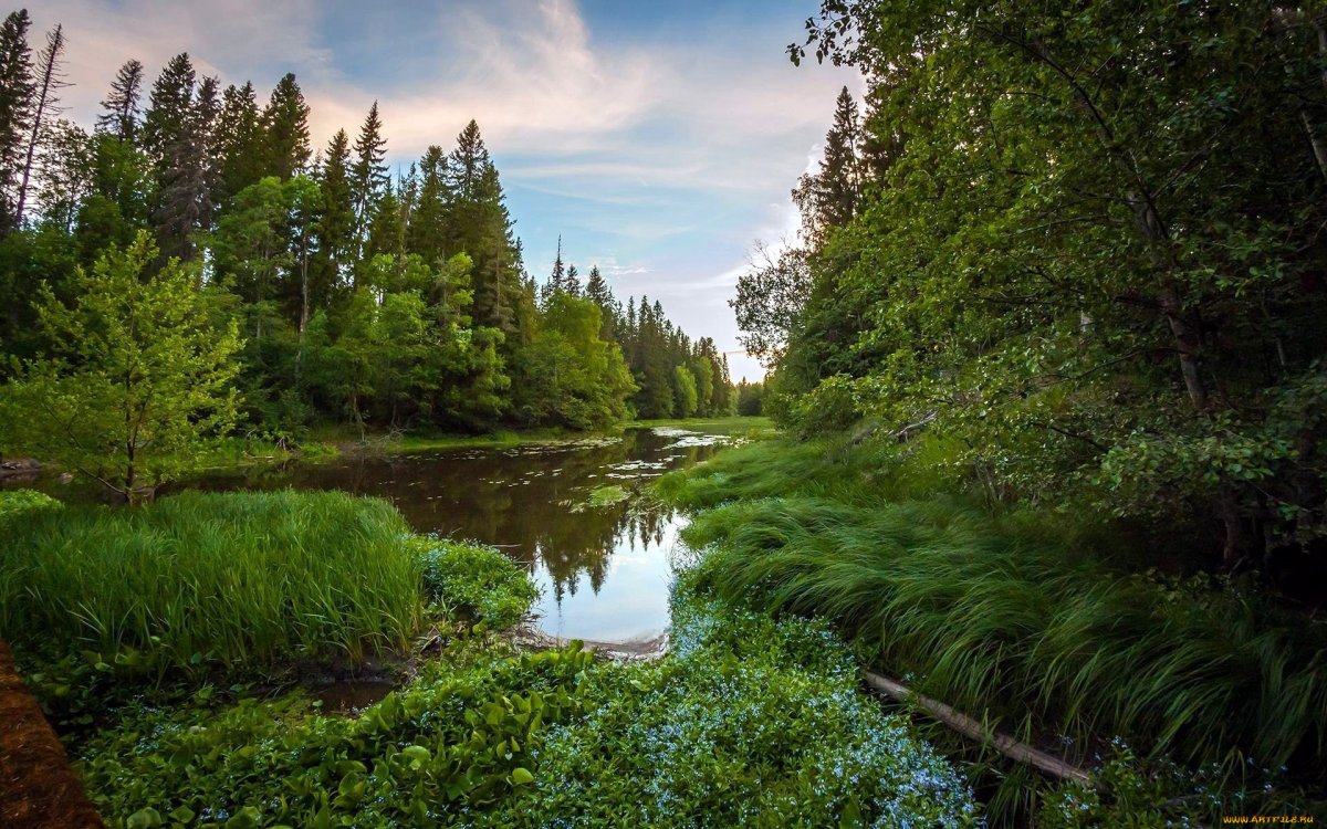 Река Озерна