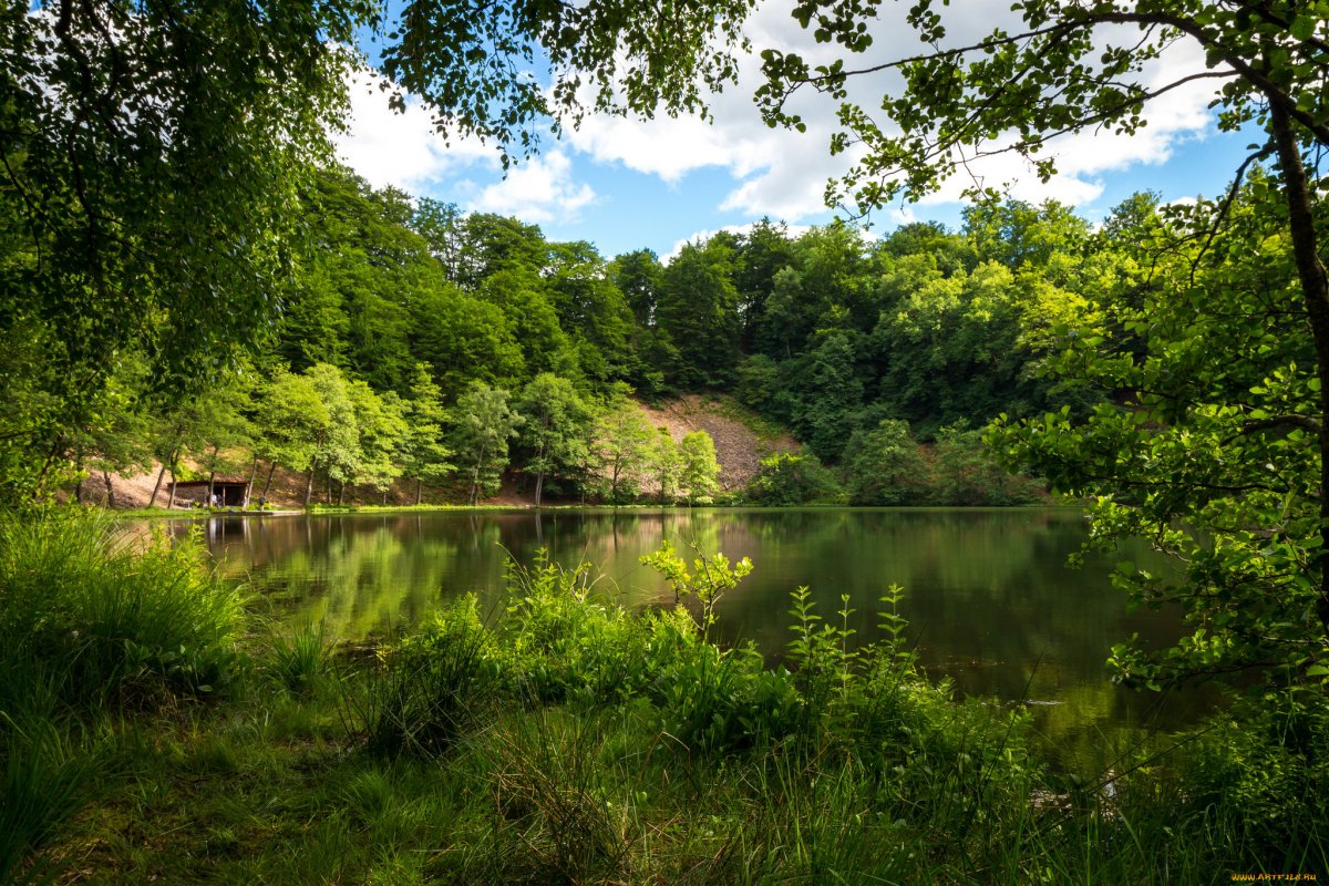 Природа лето речка