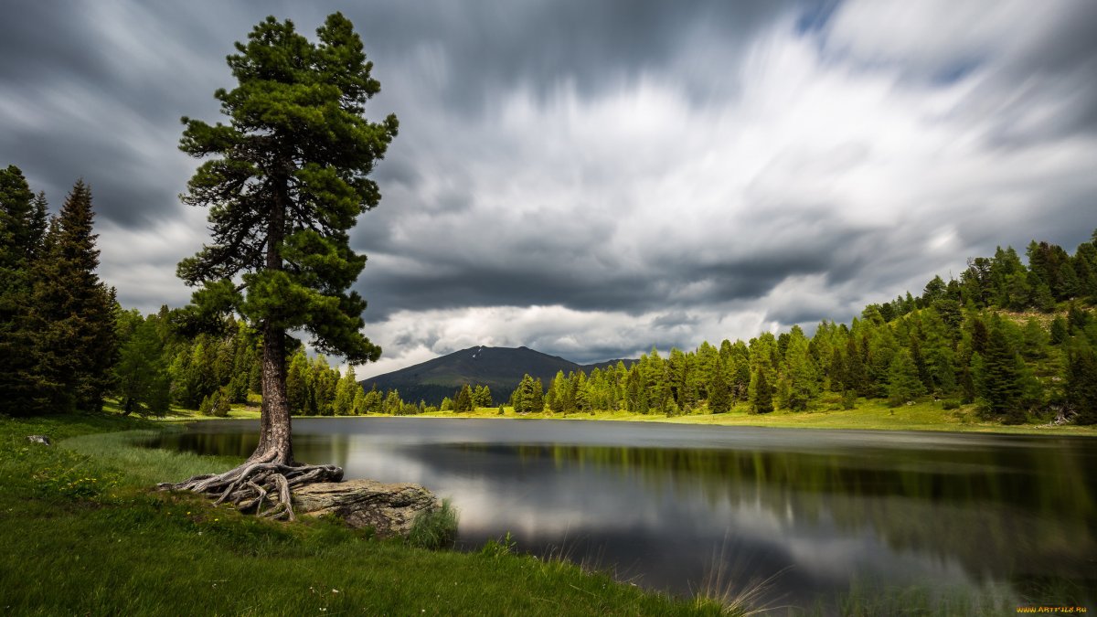 Озеро в лесу