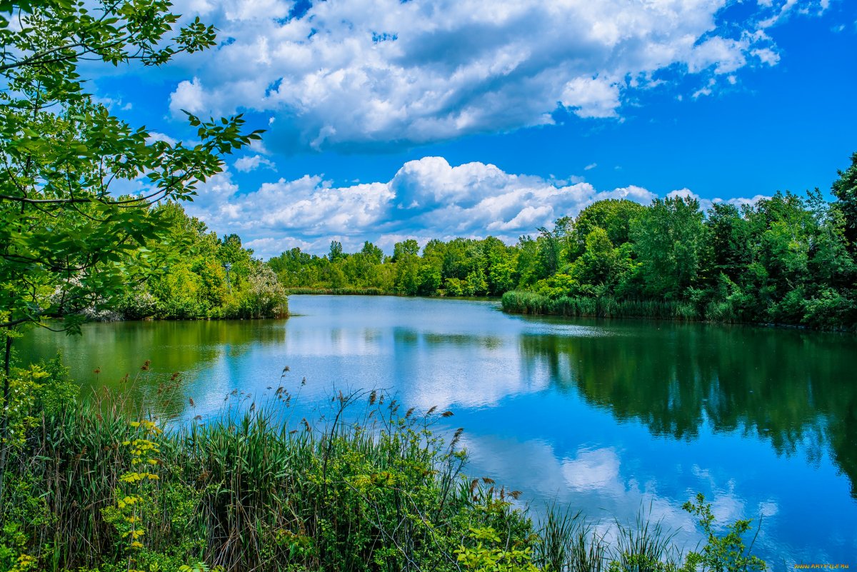 Природа лето река