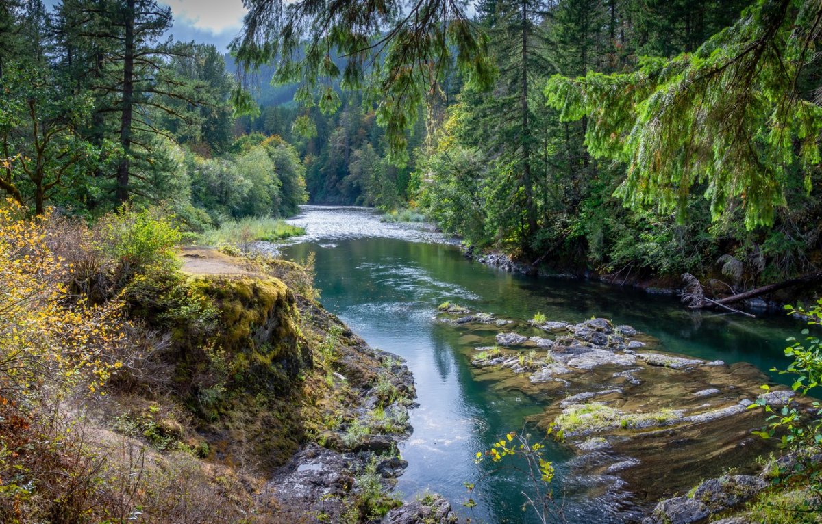 Река у леса