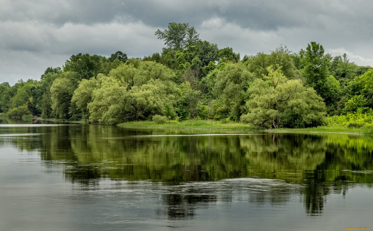 Река на рабочий стол