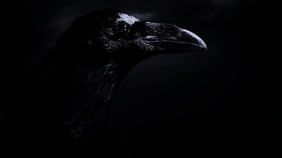 Черный ворон