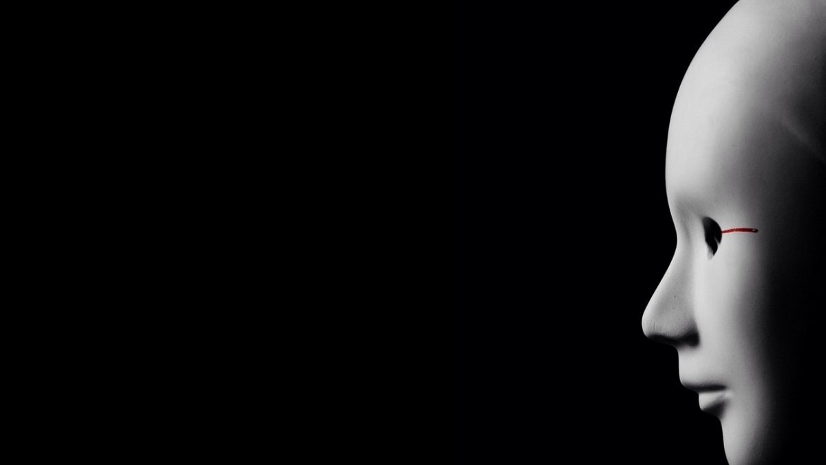 Шерекин Никита