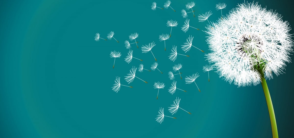 Лето на рабочий стол