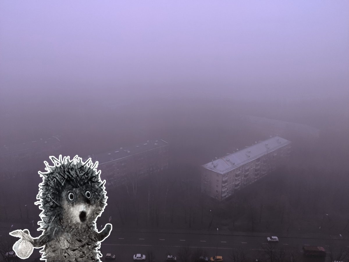 Ёжик в тумане аниме