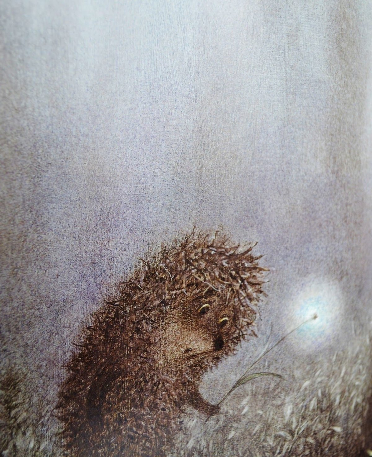 Ежик в тумане и Собчак