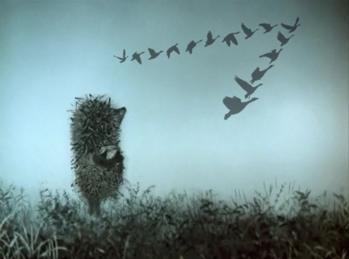 Ёжик в тумане мультфильм