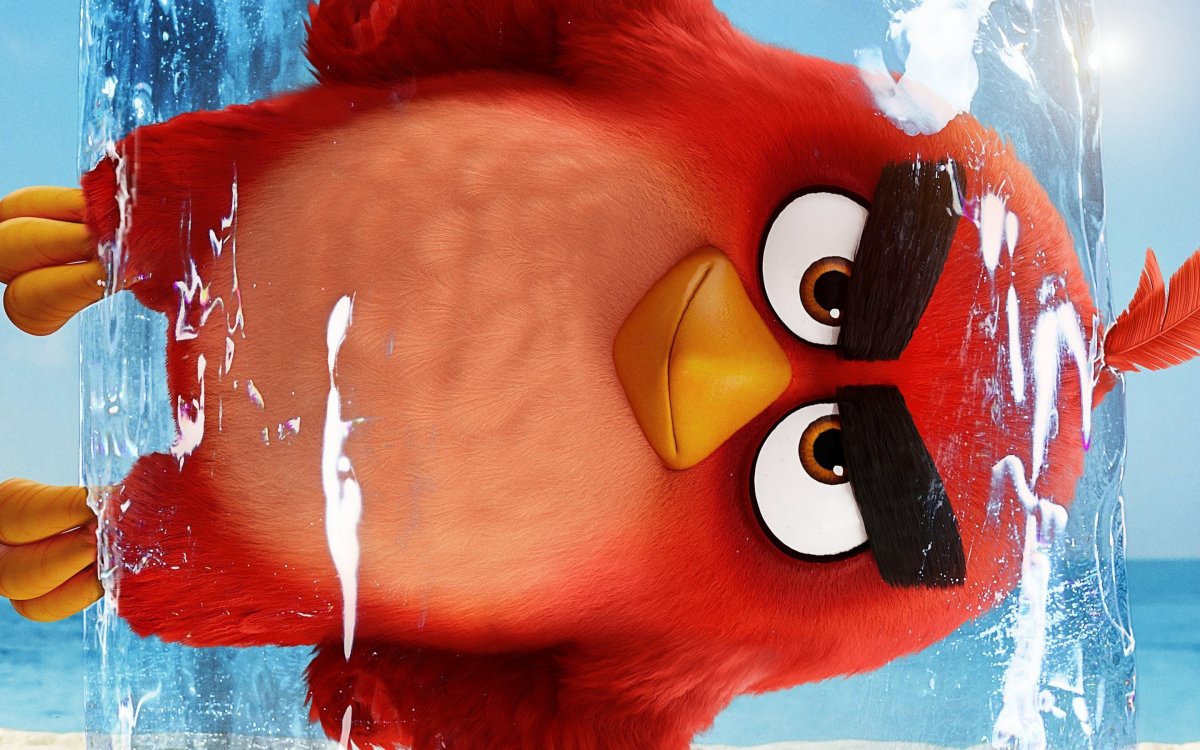 Angry Birds обои