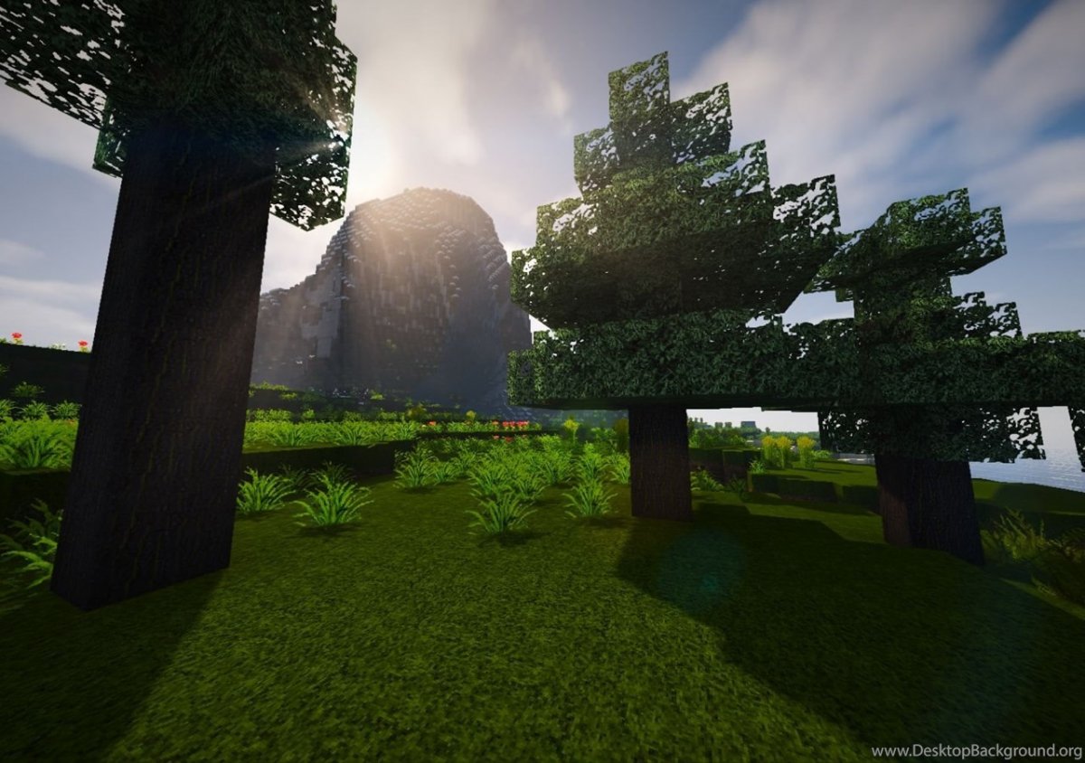 Тёмный лес майнкрафт