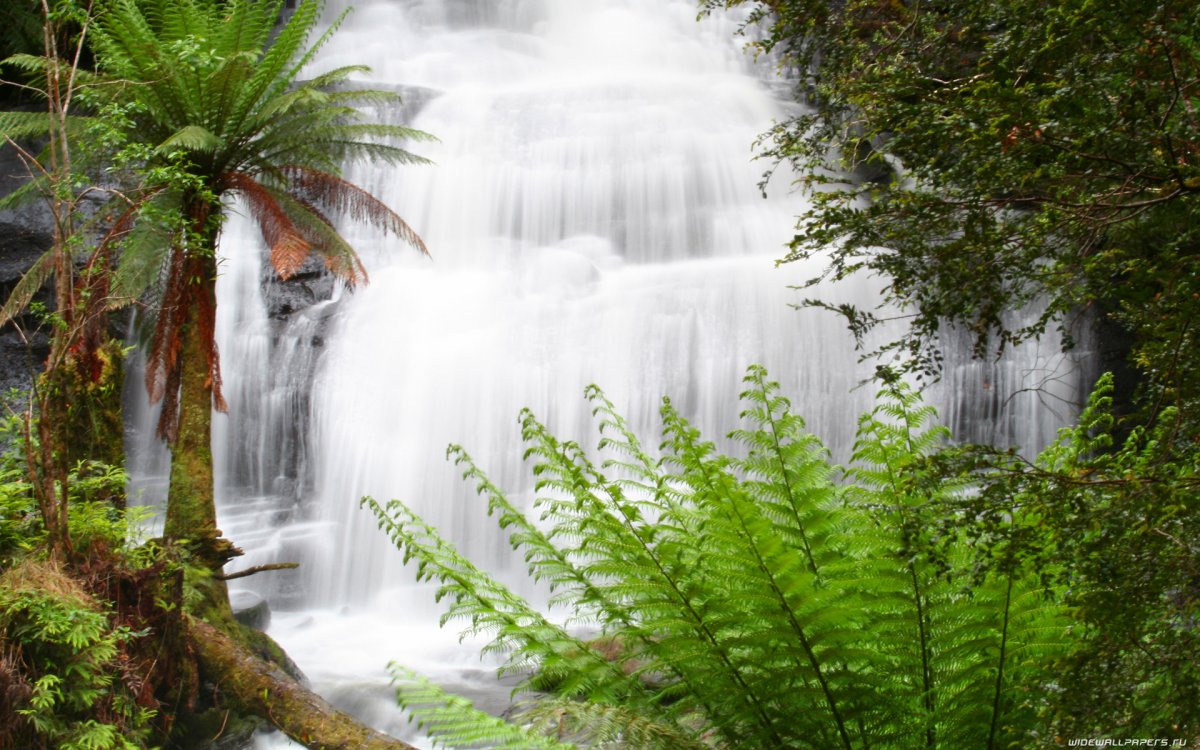 Водопад тропики