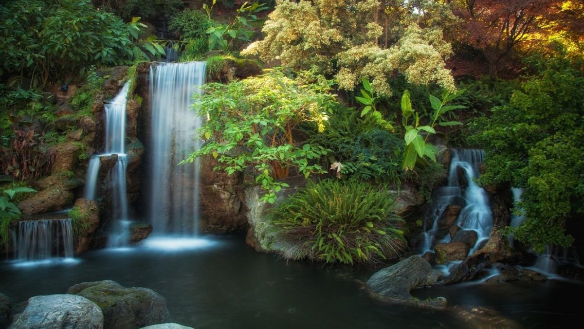 Райская природа