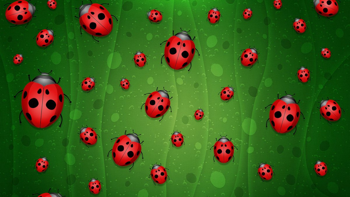 Зеленые обои для стен с Божьей коровкой