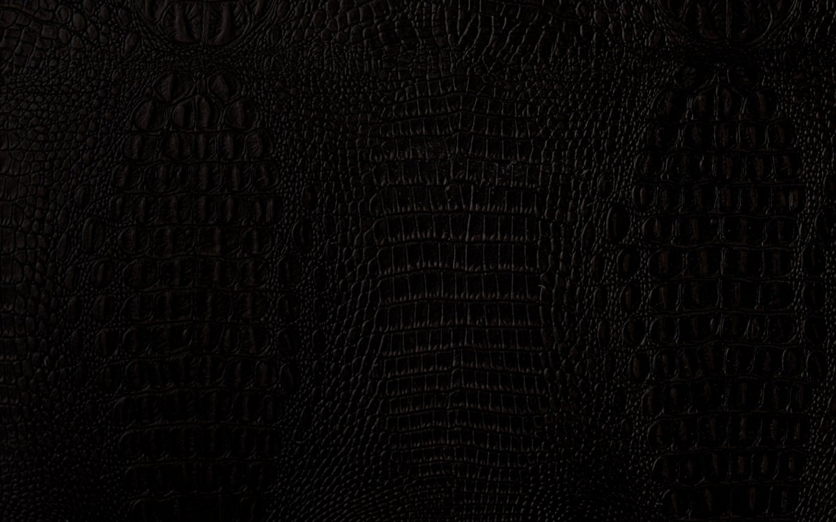 Черная змеиная кожа