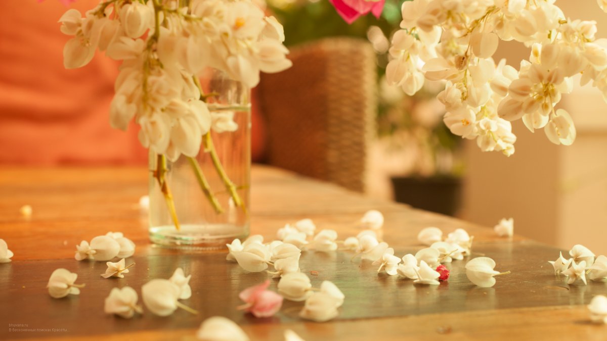 Нежная заставка на рабочий стол