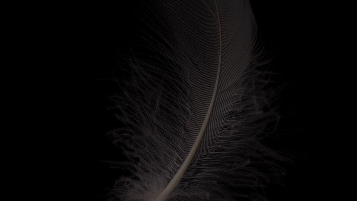 Ирис Pheasant Feathers