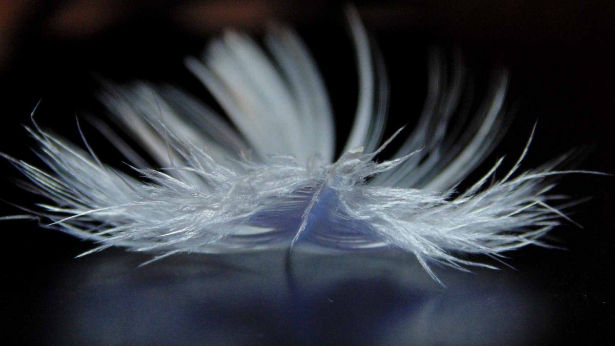 Равновесие с перышком