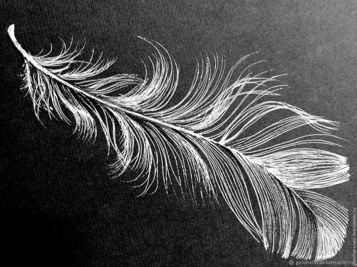 Перо голубой сойки