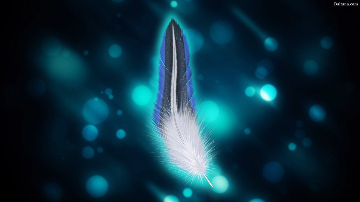 Обои с перьями