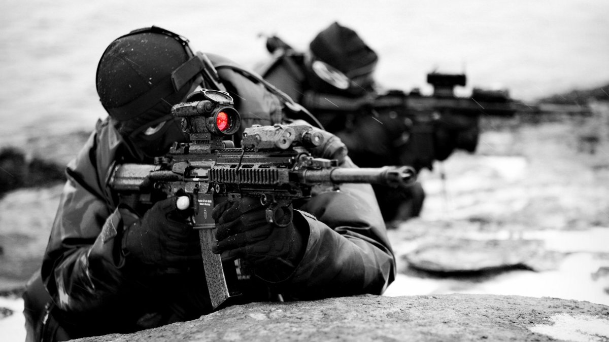 Aimpoint Navy Seal