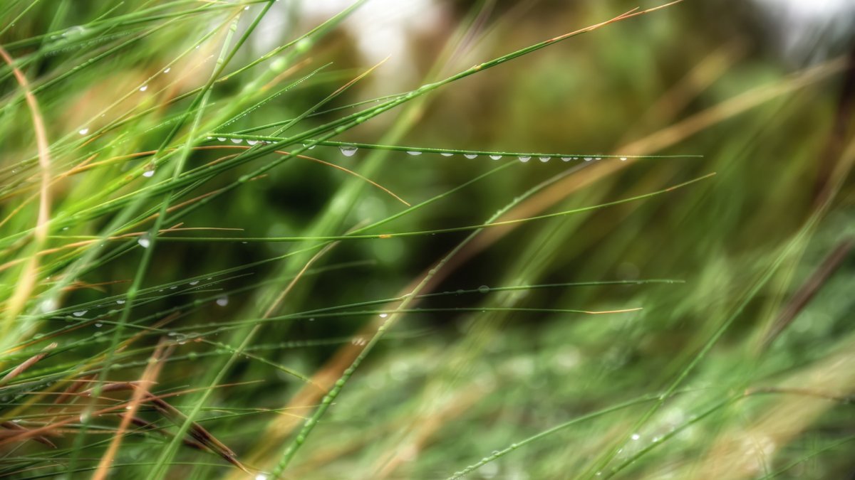 Заставка на рабочий стол