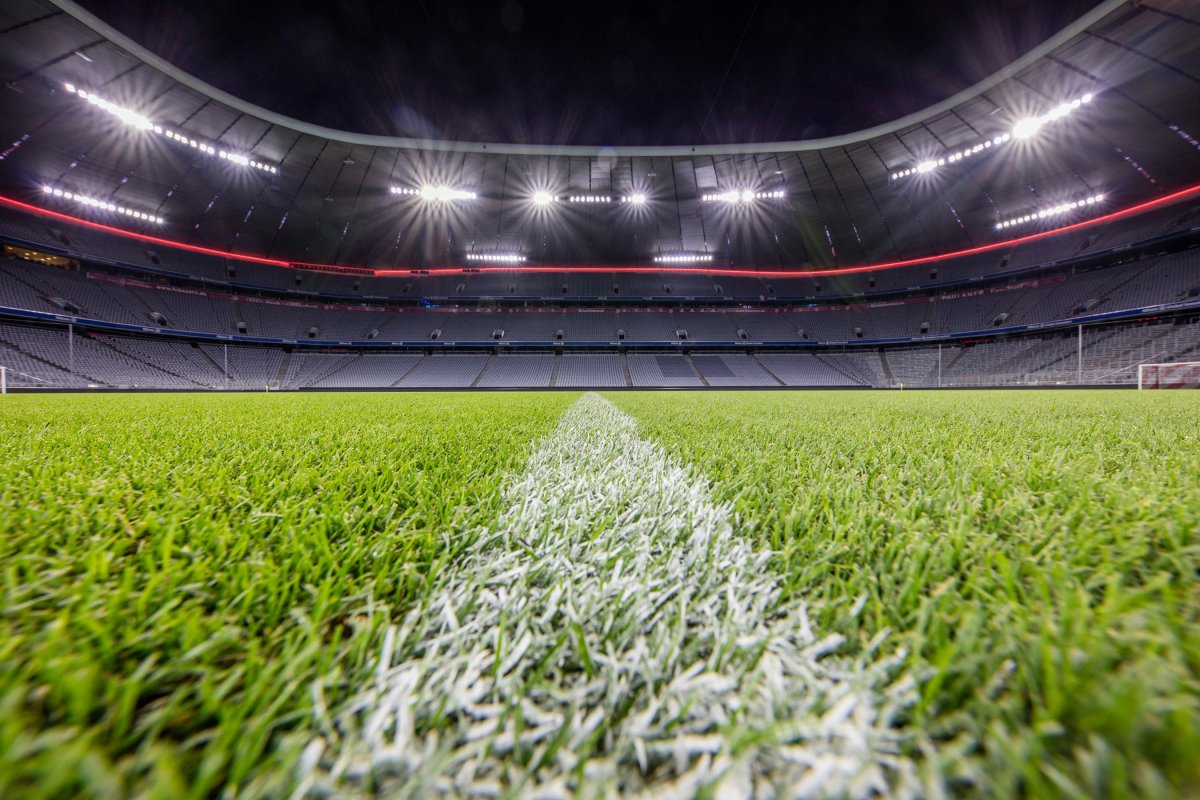 Стадион Альянц Арена газон