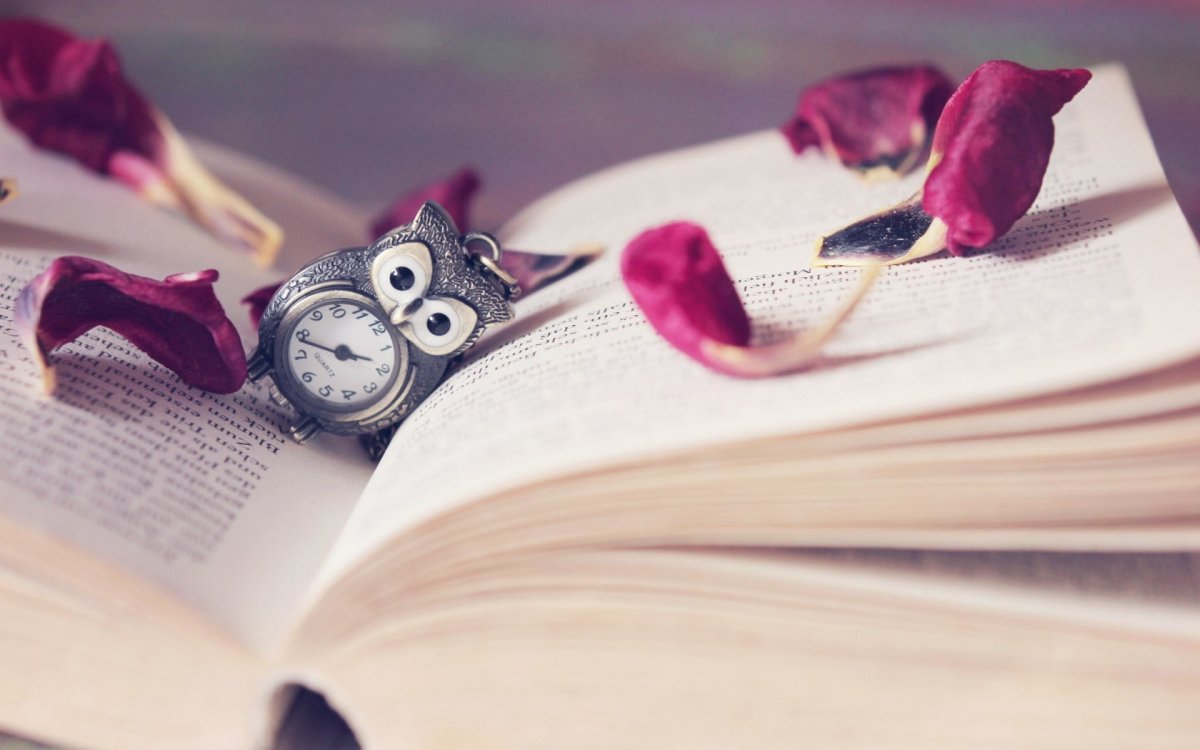 Яркие картинки