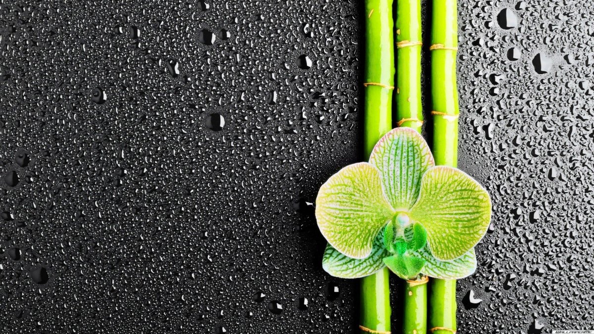 Необычные обои для iphone