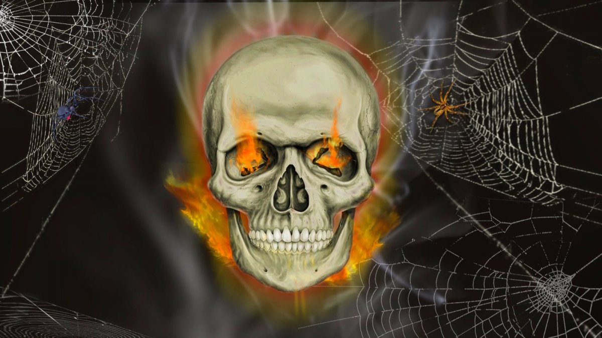 Череп на заставку