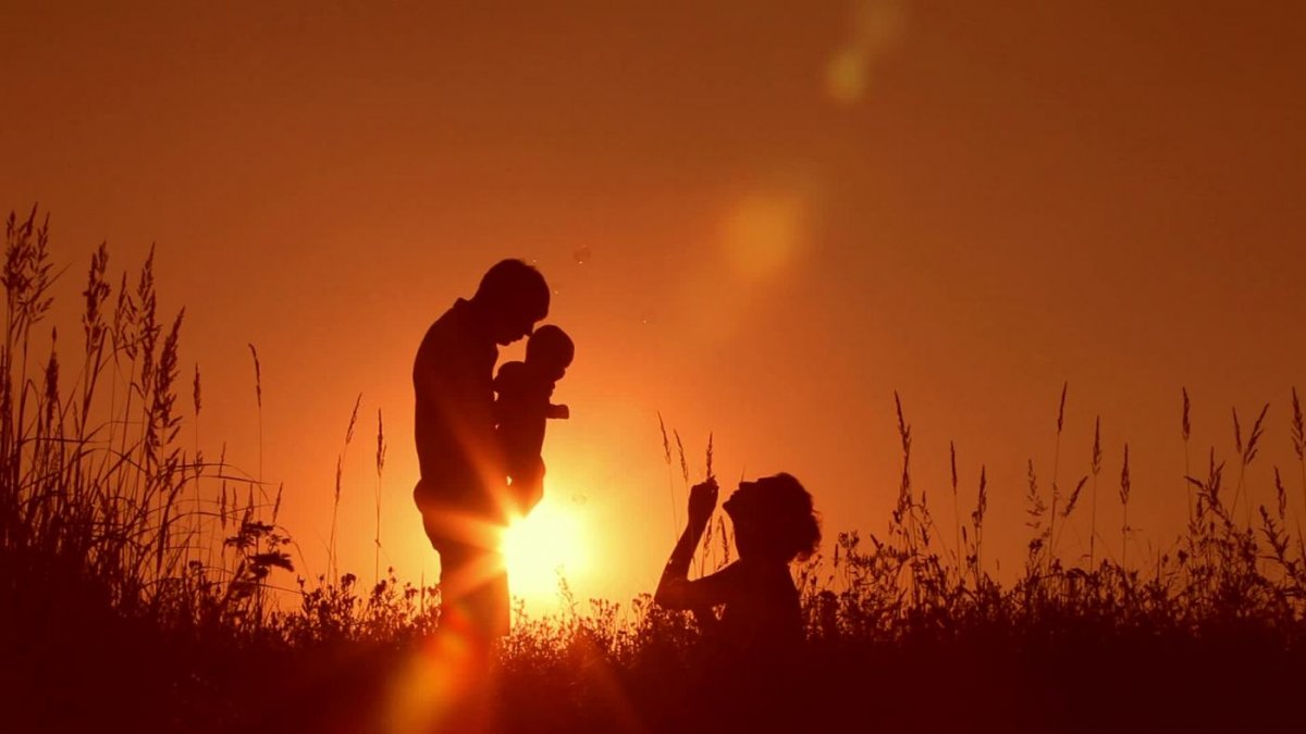 Куланина Дарья Зайберт