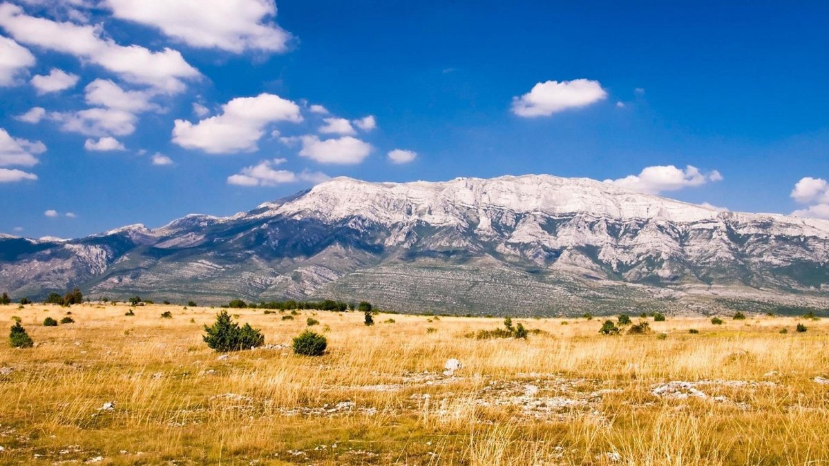 Курайская степь