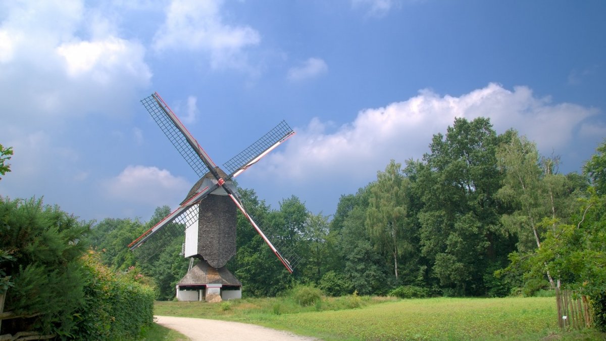 Природа Геншин мельница