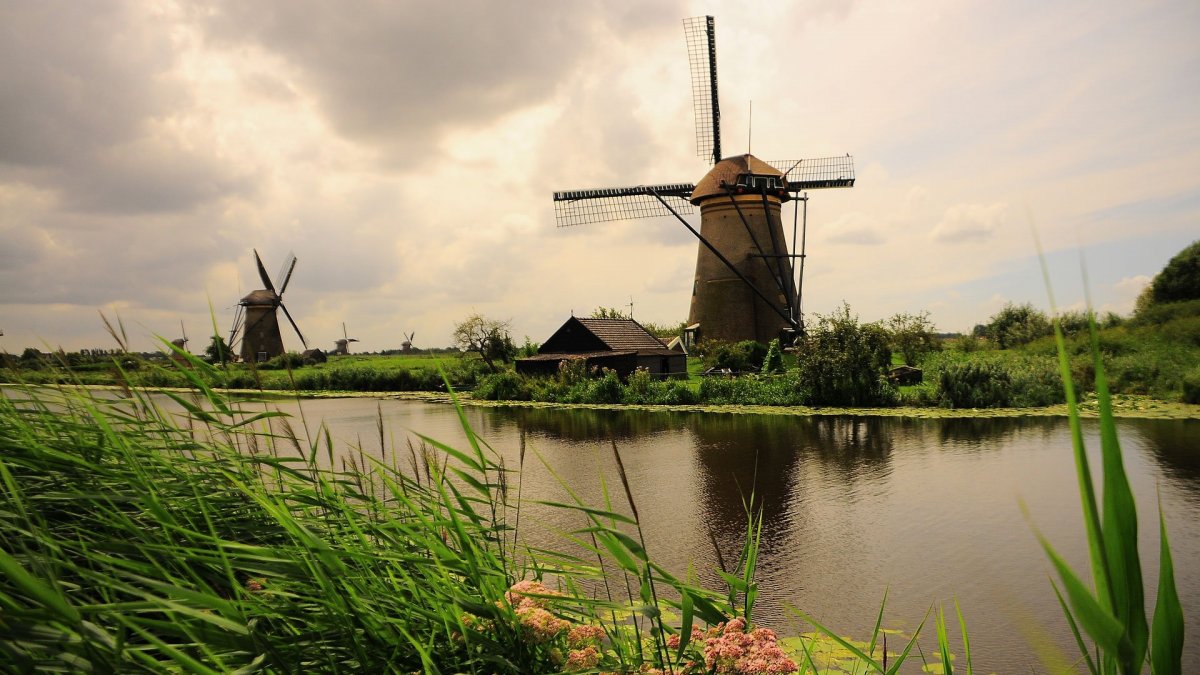 Броудс Англия мельница