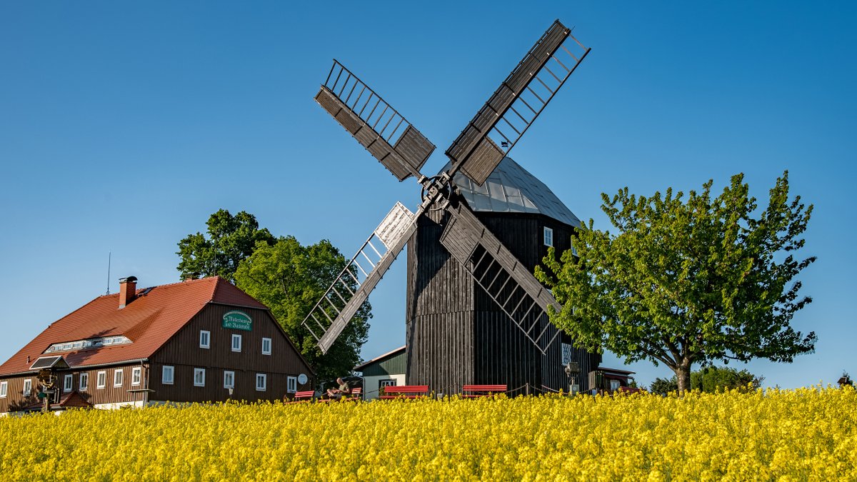 Сельское хозяйство Саксонии