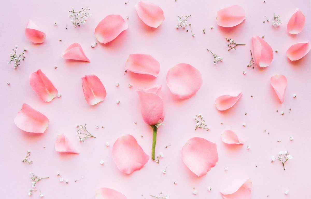 Лепестки розовых роз