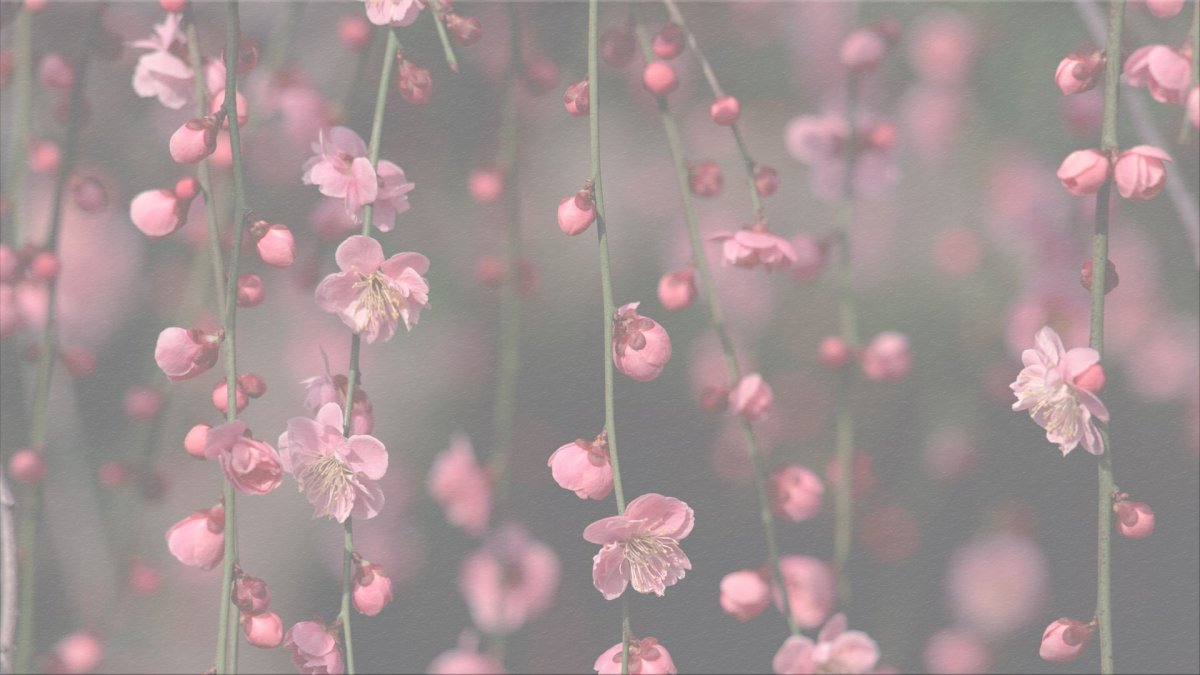 Розово серый фон