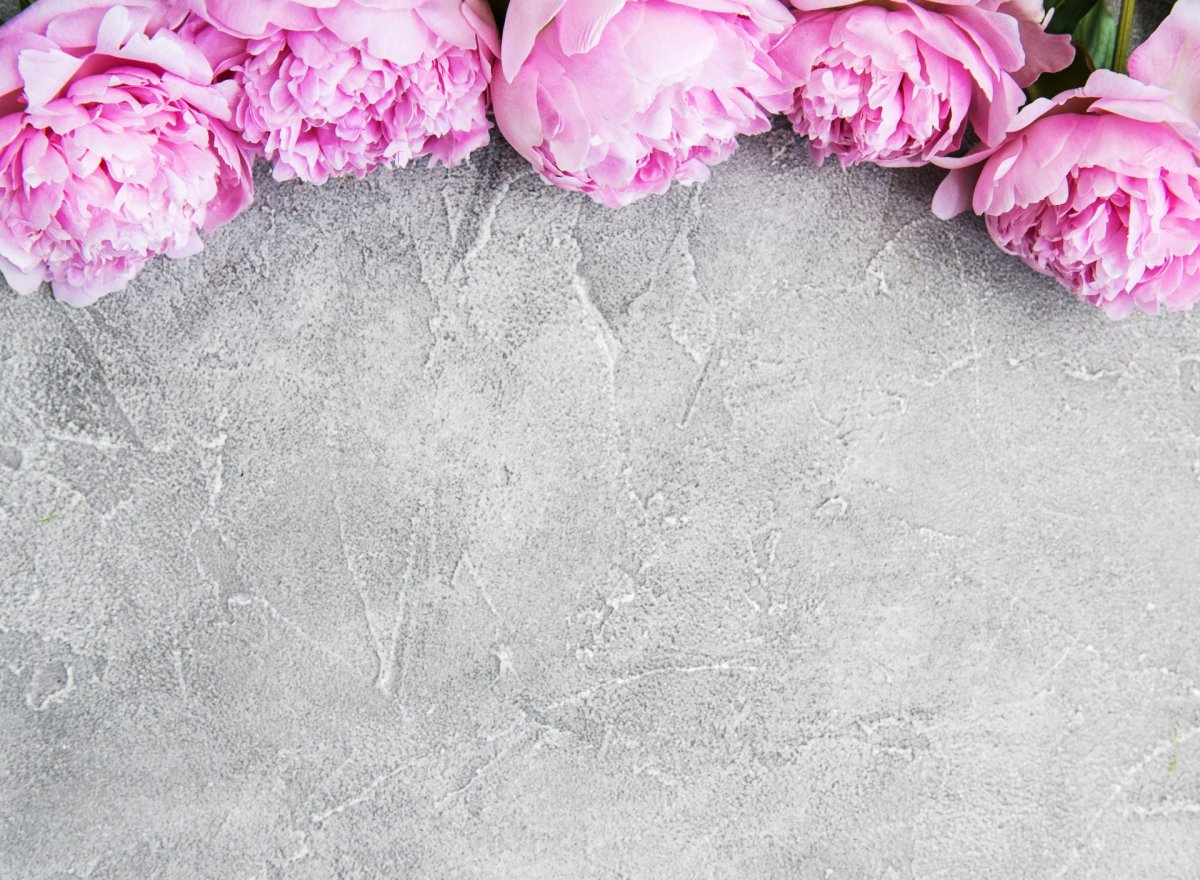 Нежный фон с пионами