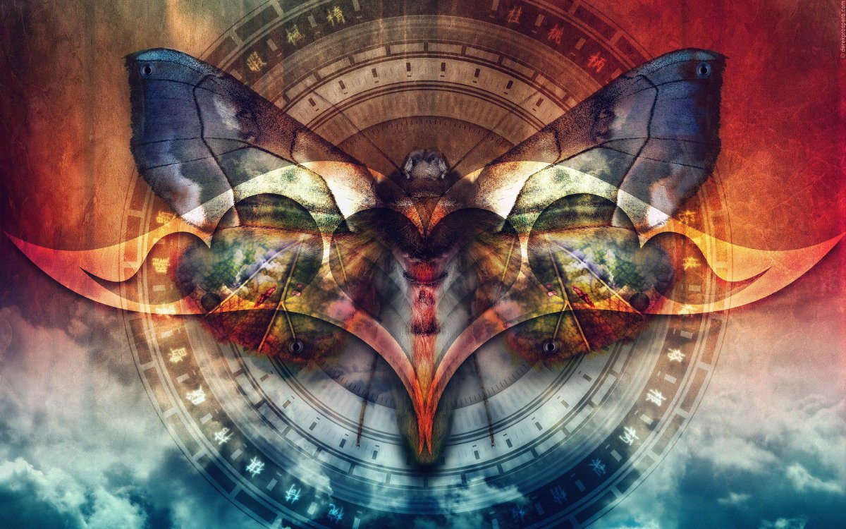 Фантастические бабочки