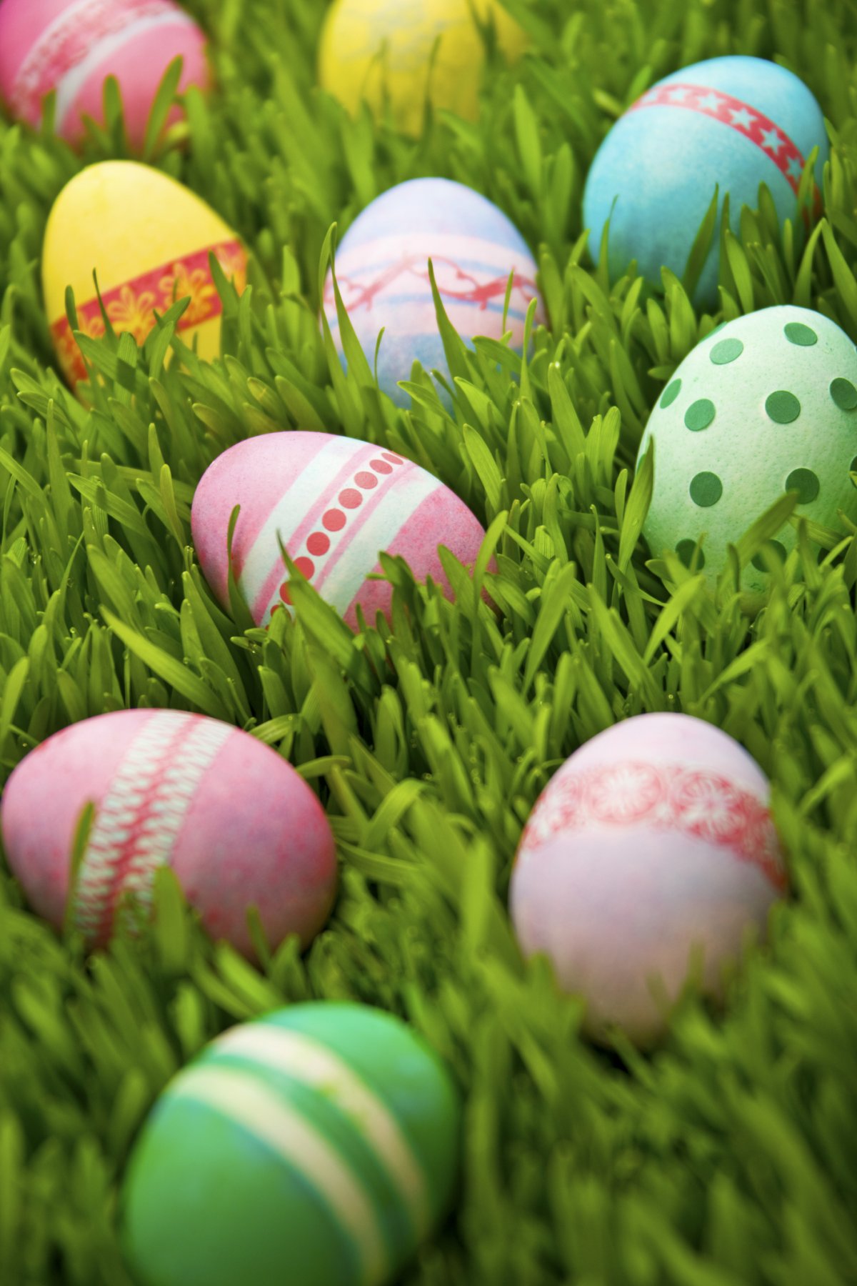 С Пасхой ха