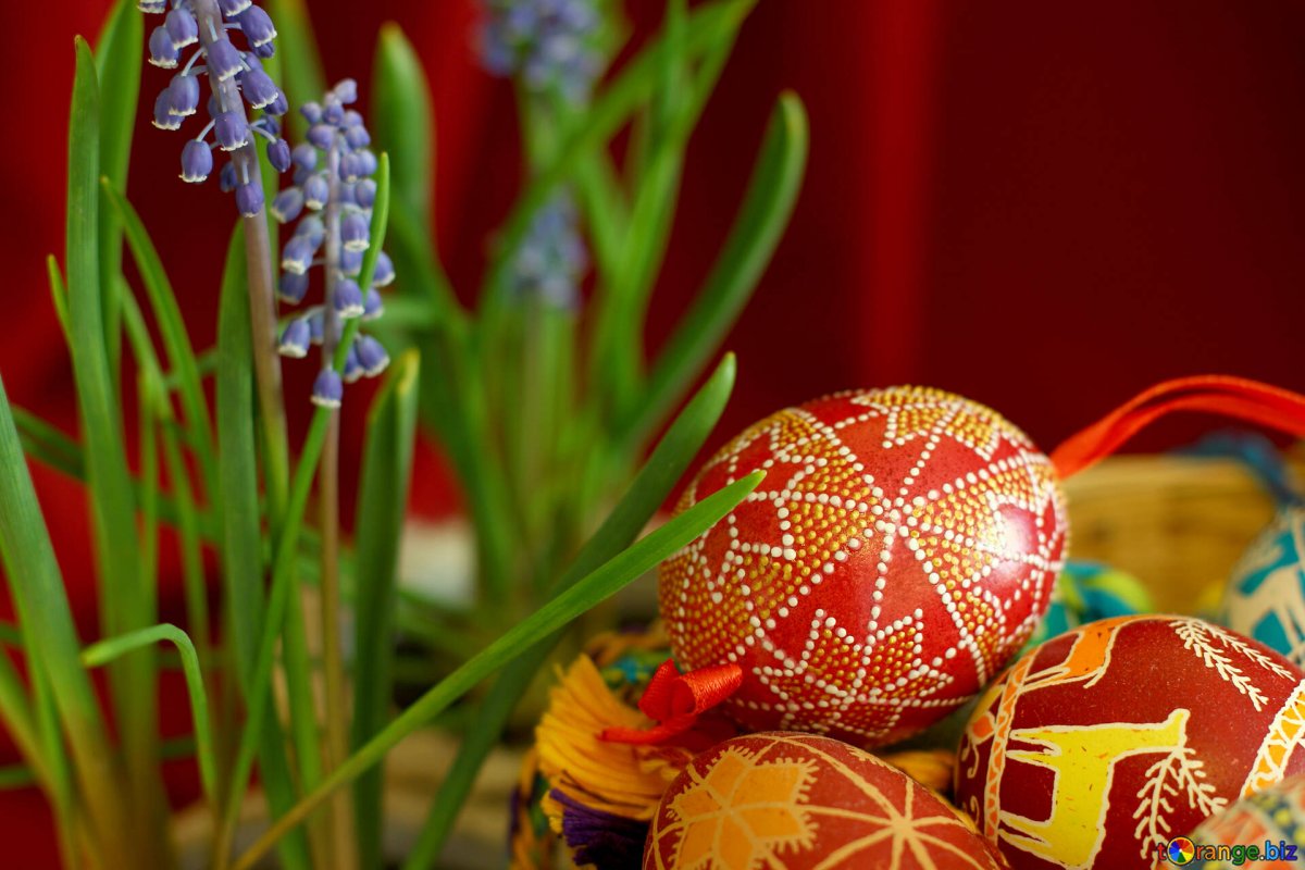 Весенние цветы пасхальные