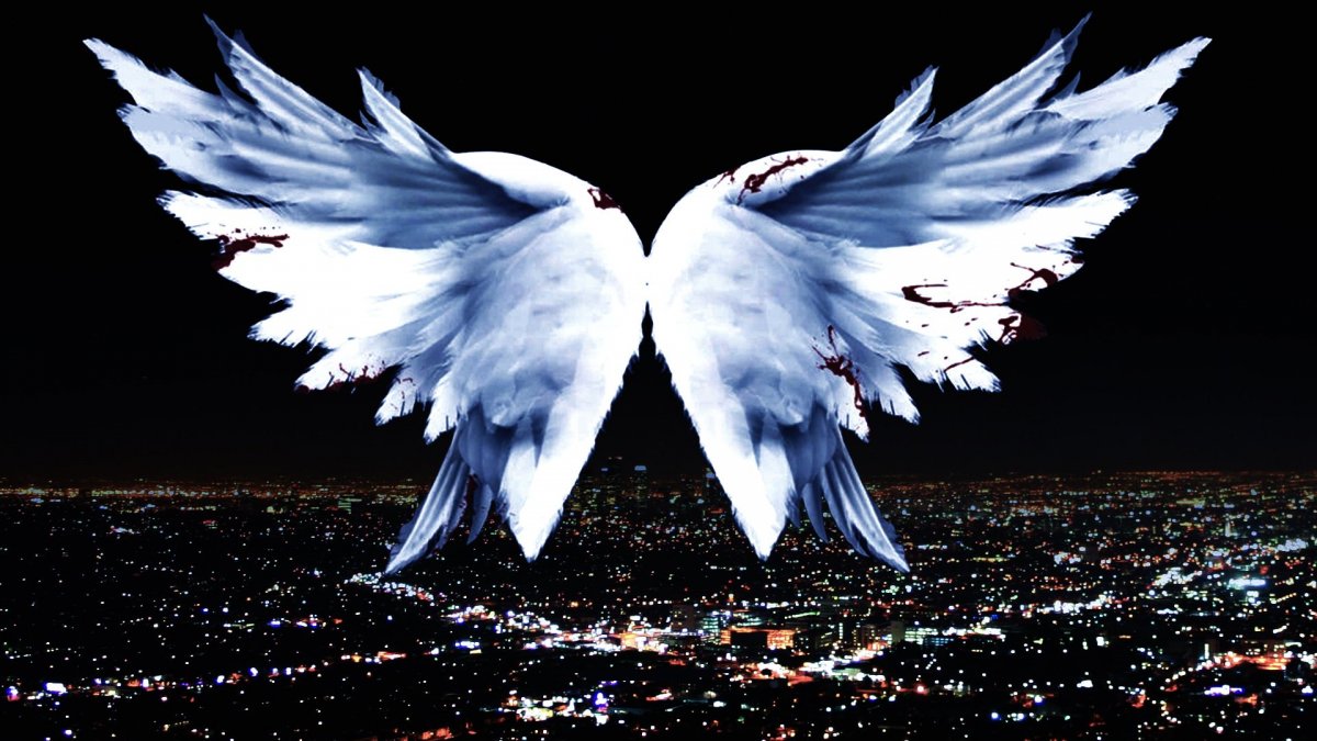 Крылья ангела