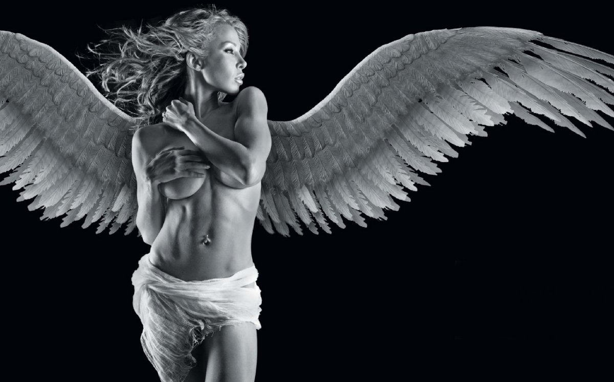 Красивые Крылья